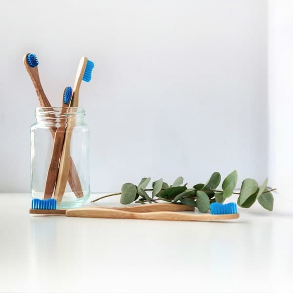 SonicPulse Pro Sonic Electric Toothbrush with 4 Heads